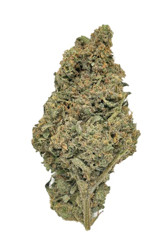 Deep Fried Ice Cream | Plant Nerd