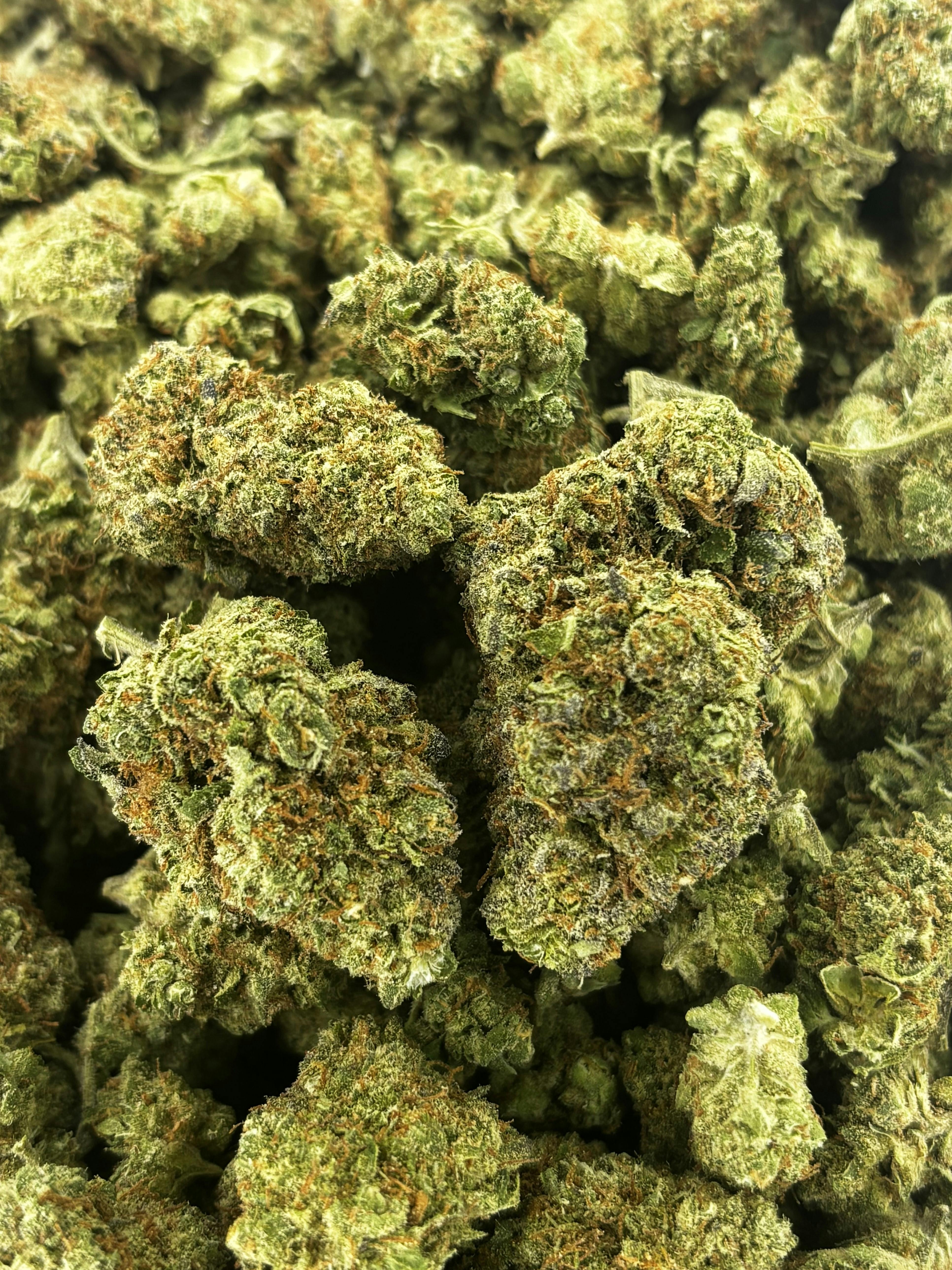 Gelato Sundae | Deli Flower (Bronze)