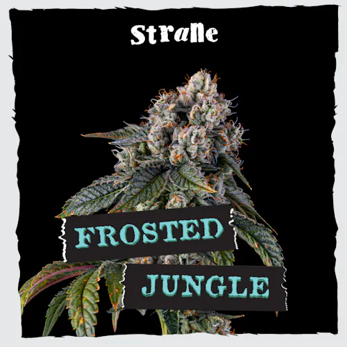 Frosted Jungle (IH)- (3.5g)-active