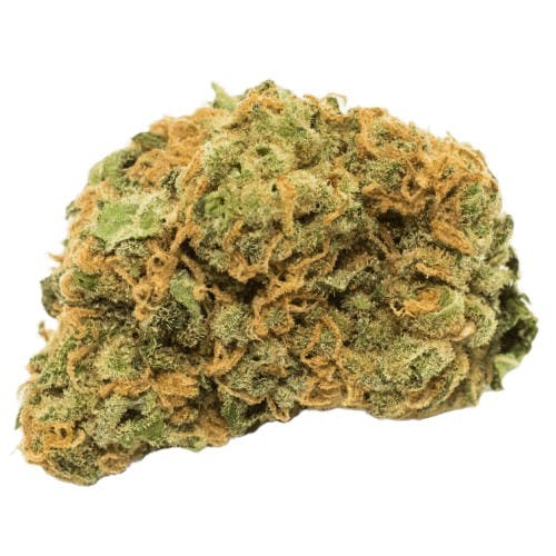 Common Citizen COMMON CITIZEN | PINE CHEESE | BULK | SMALLS | SATIVA/HYBRID — FLOWER