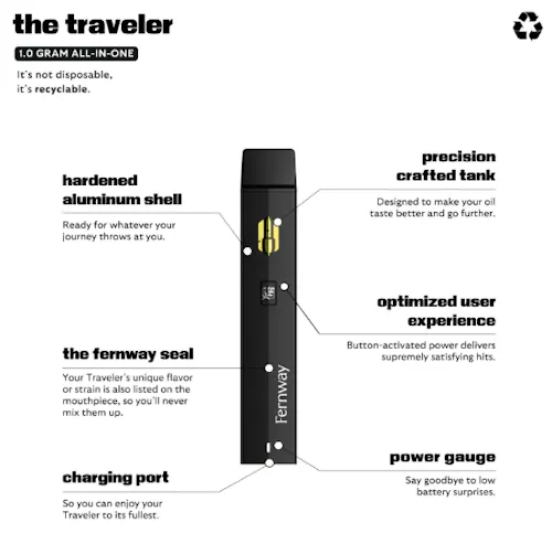 Fernway – Traveler 1.0g AIO – Alpine Strawberry-1