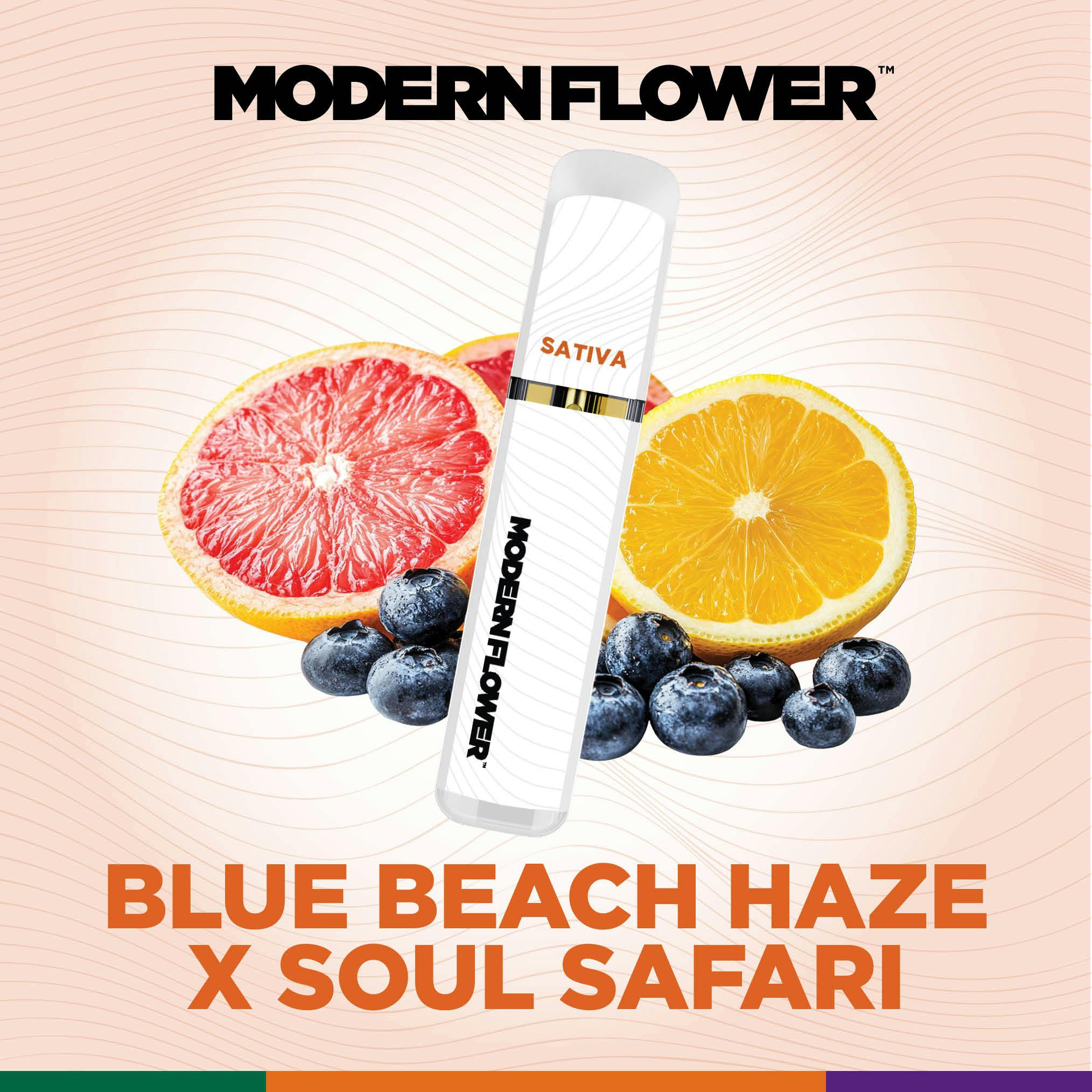 Blue Beach Haze x Soul Safari Live Sauce All In One