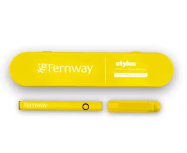 Fernway Stylus Yellow (accessories)