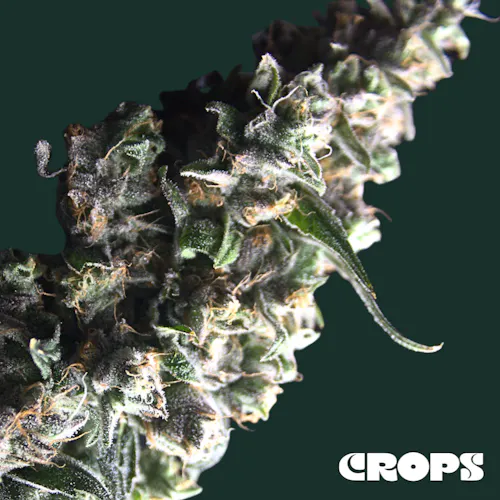 Crops | Zummiez | Flower | 3.5g-1