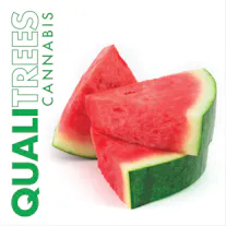 Qualitrees Logo