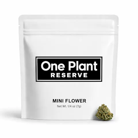 GMO Mini Buds, as One Plant's menu shows it