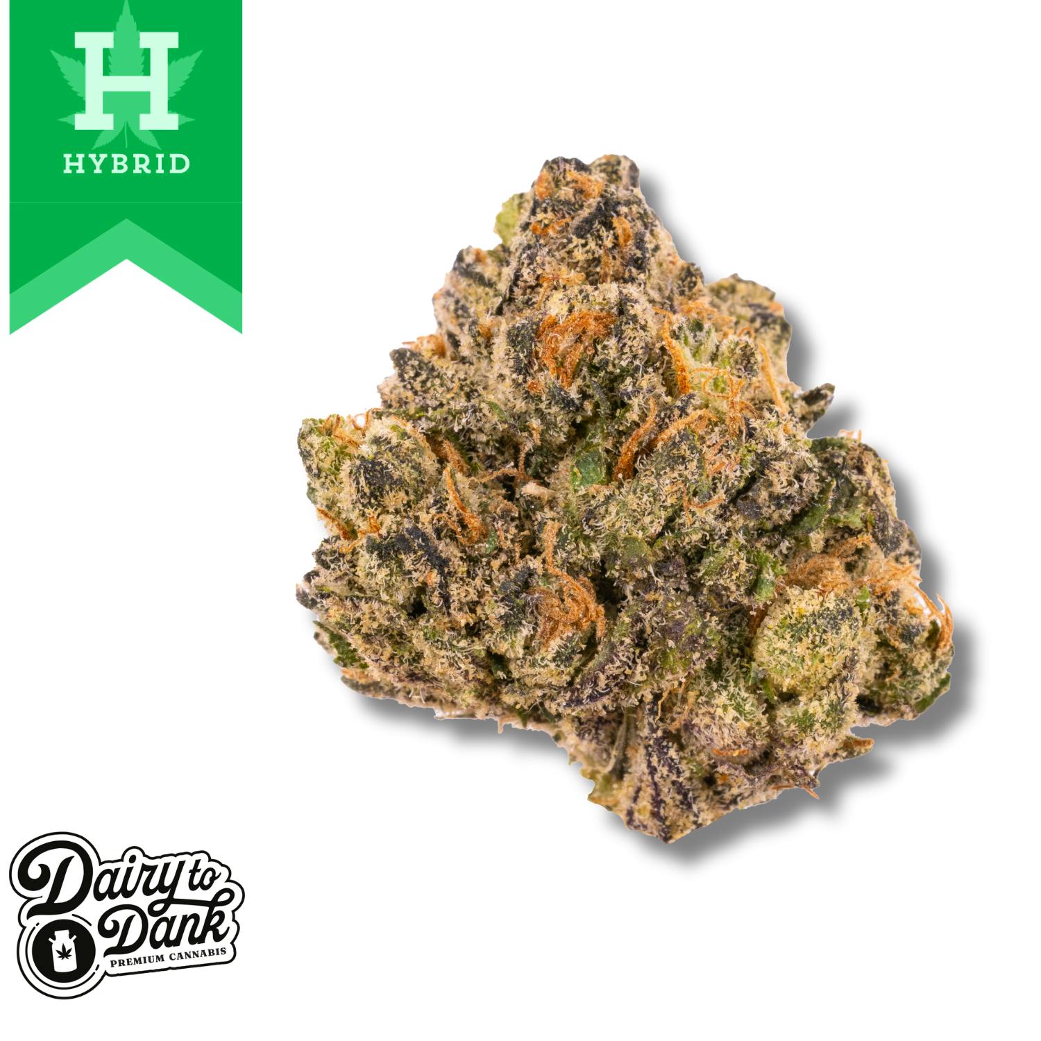 Kush Mintz Hybrid 14.0g Flower by D2D • Pecos Valley Production