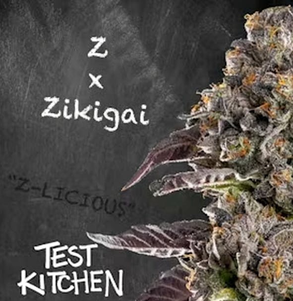 Test Kitchen | Z X Zikigai | 5G Smalls 5g Flower | Test Kitchen |