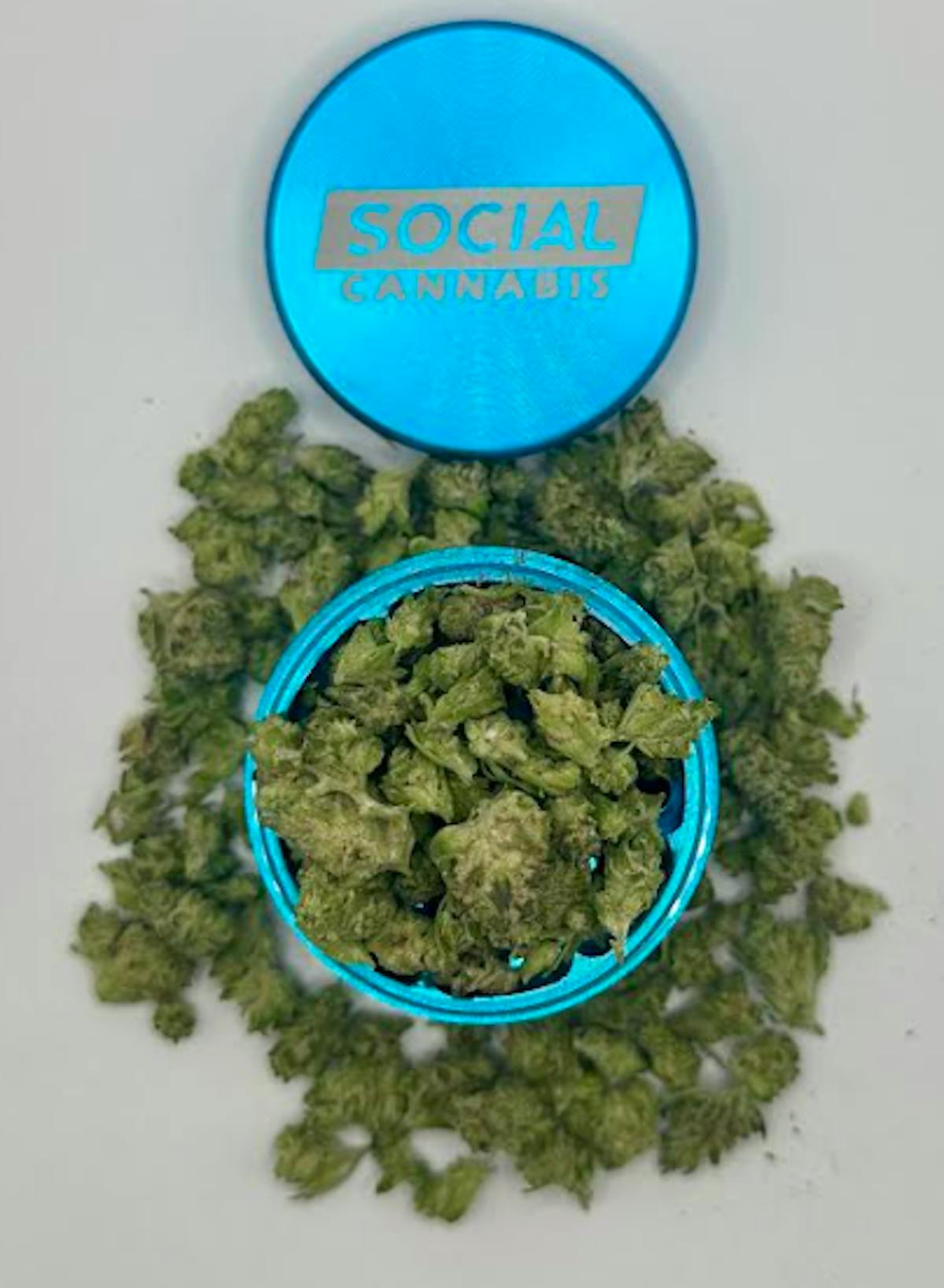 Photo of Popcorn Shelf – Electro Lime (H)
