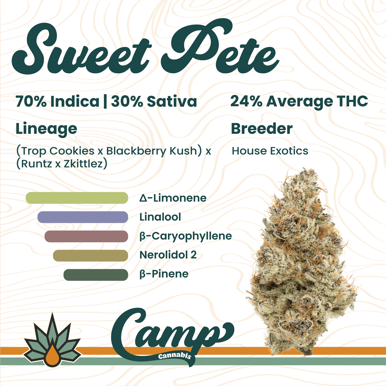 Pre-Roll 1g | CAMP Cannabis Sweet Pete | MO Health and Wellness - Washington