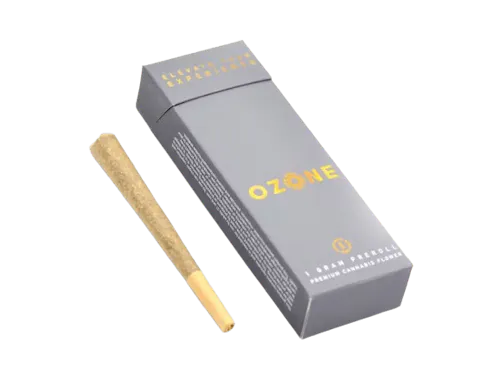 Robusta (H) – 1g Pre Roll – Simply Herb-active