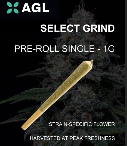 Hybridol ZP Ground Preroll 1g The Higher Collective