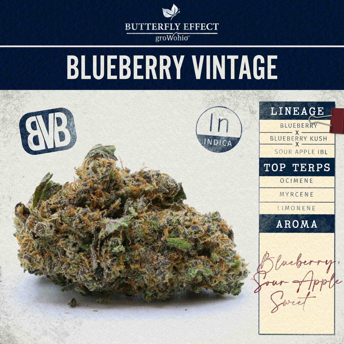 Butterfly Effect by Grow Ohio Blueberry Vintage 2.83g Lorain, OH