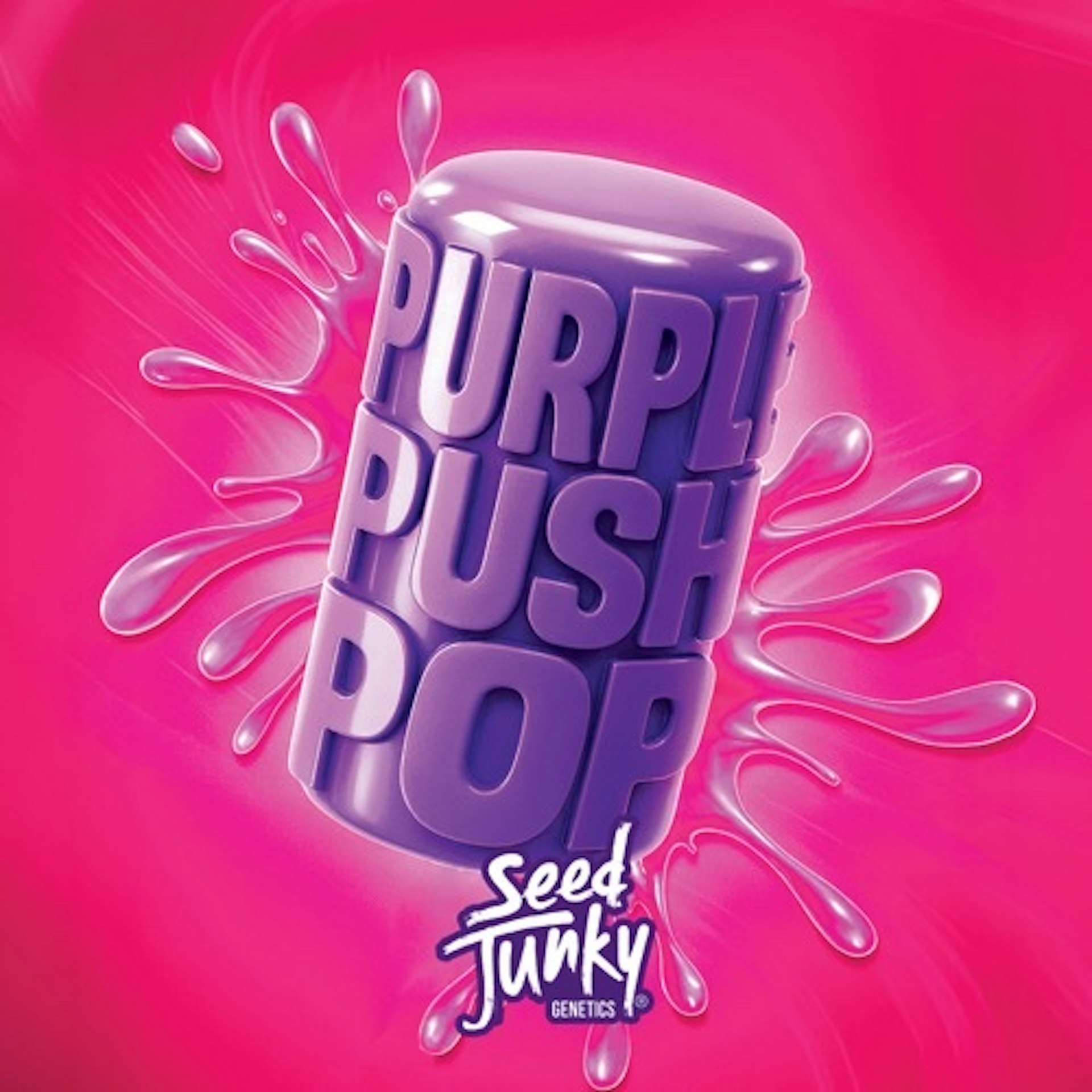 Seed Junky - Purple Push Pop - Buds
