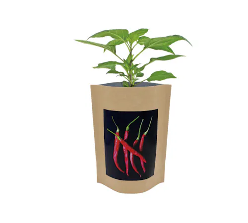 Seed Start – Hot Peppers-1