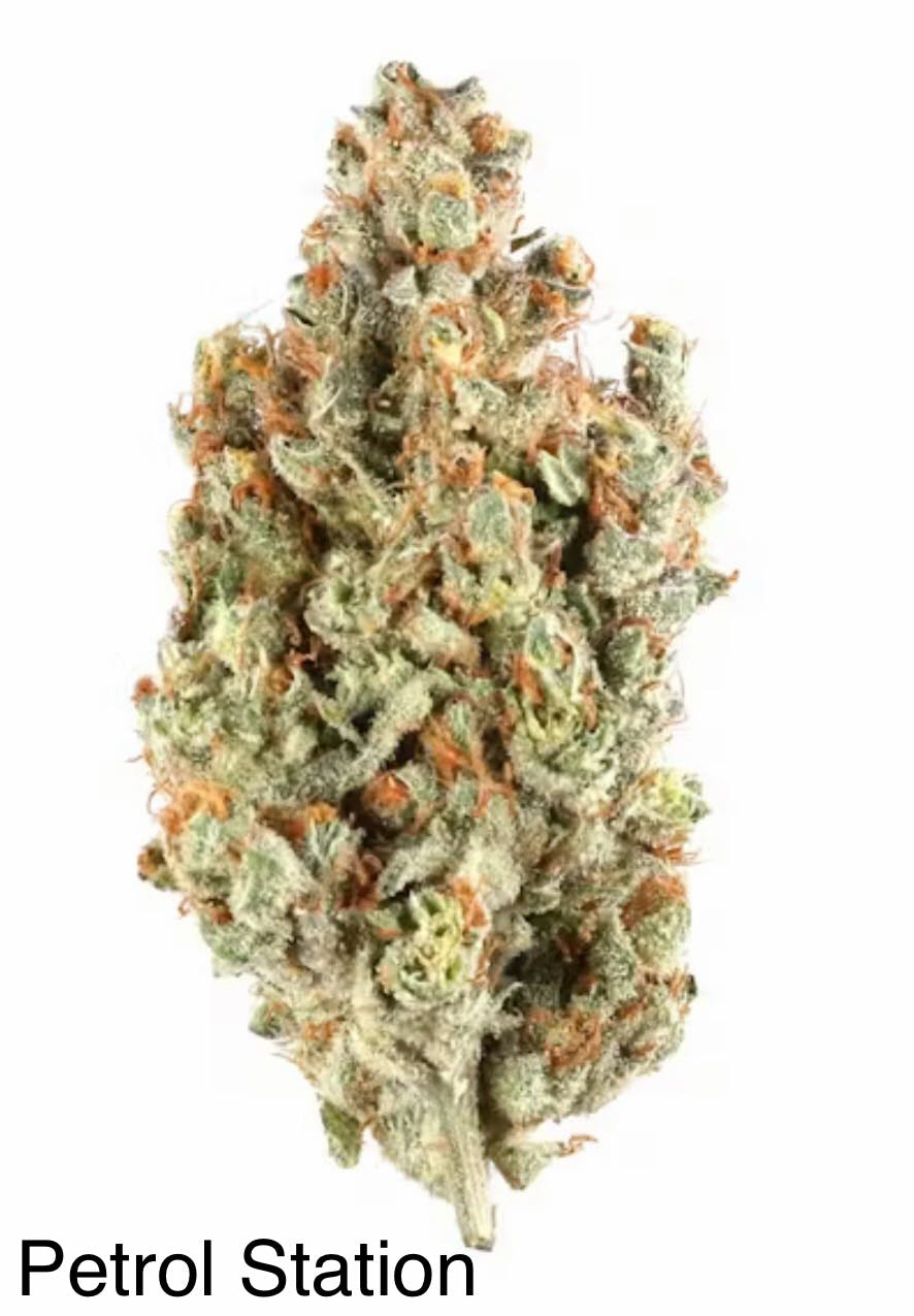 Product Kings & Queens - Petrol Station - 3.5g - Indoor Flower
