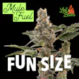 Mule Fuel Let's