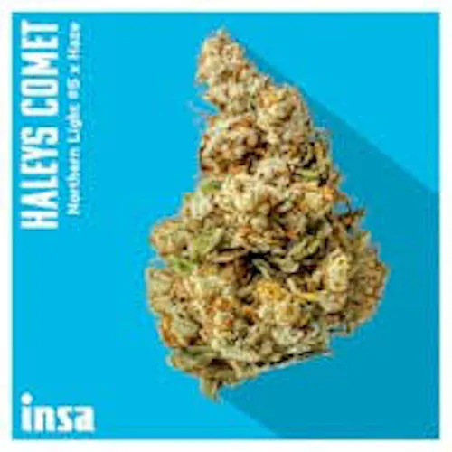 INSA Haleys Comet 3.5g-1
