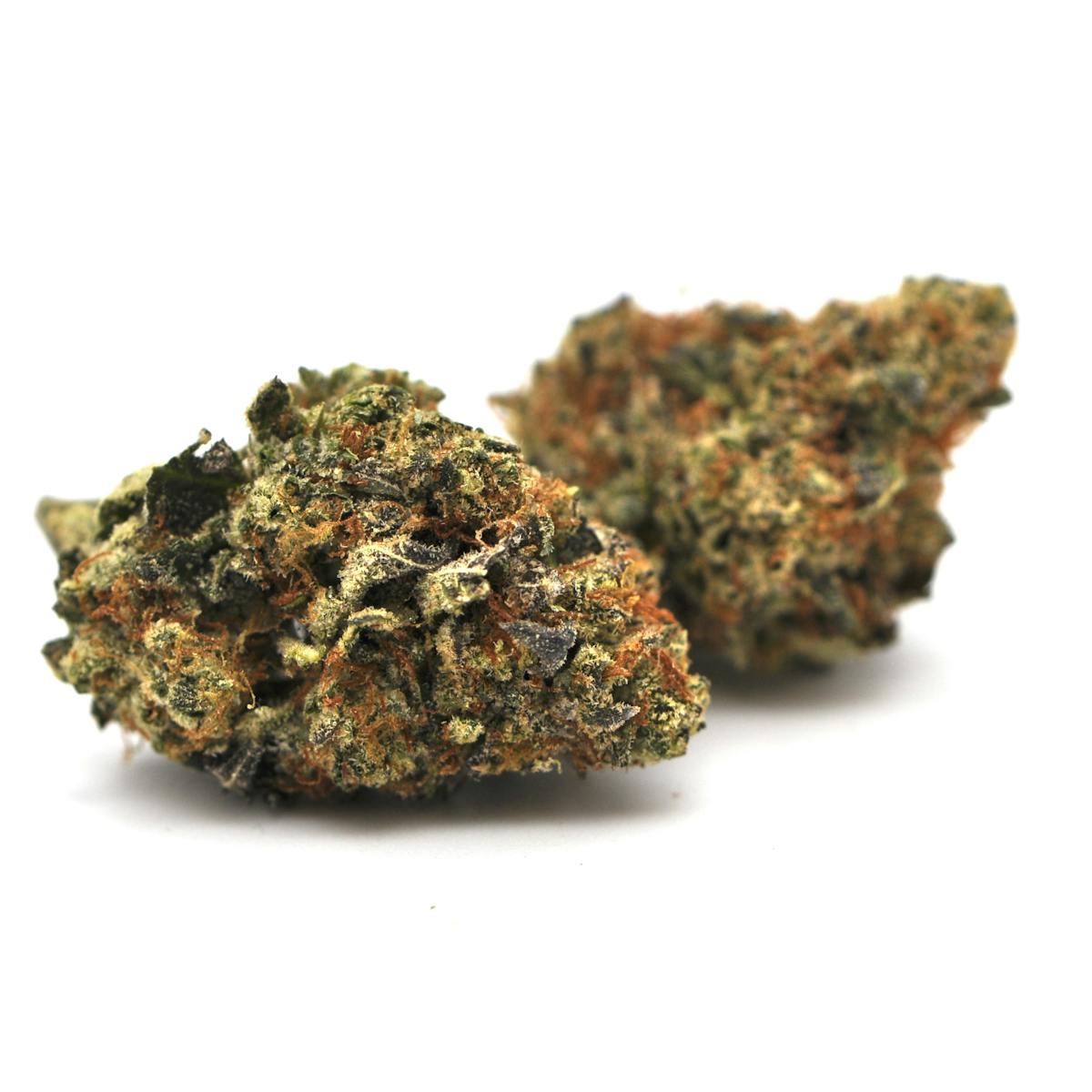 Image of Dosi-Mint | 3.5g Prepackaged Flower