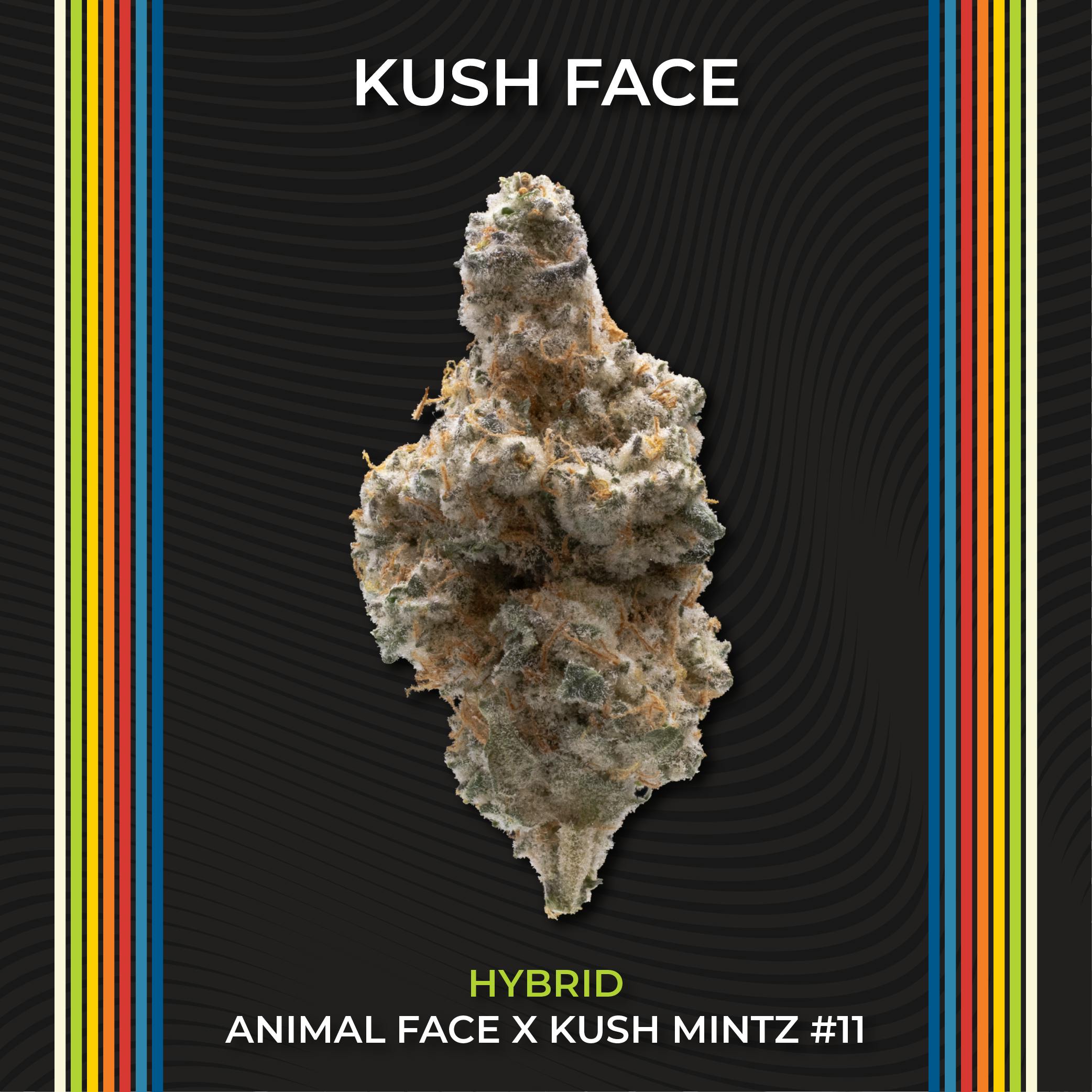 Nectar - Harrison Ave