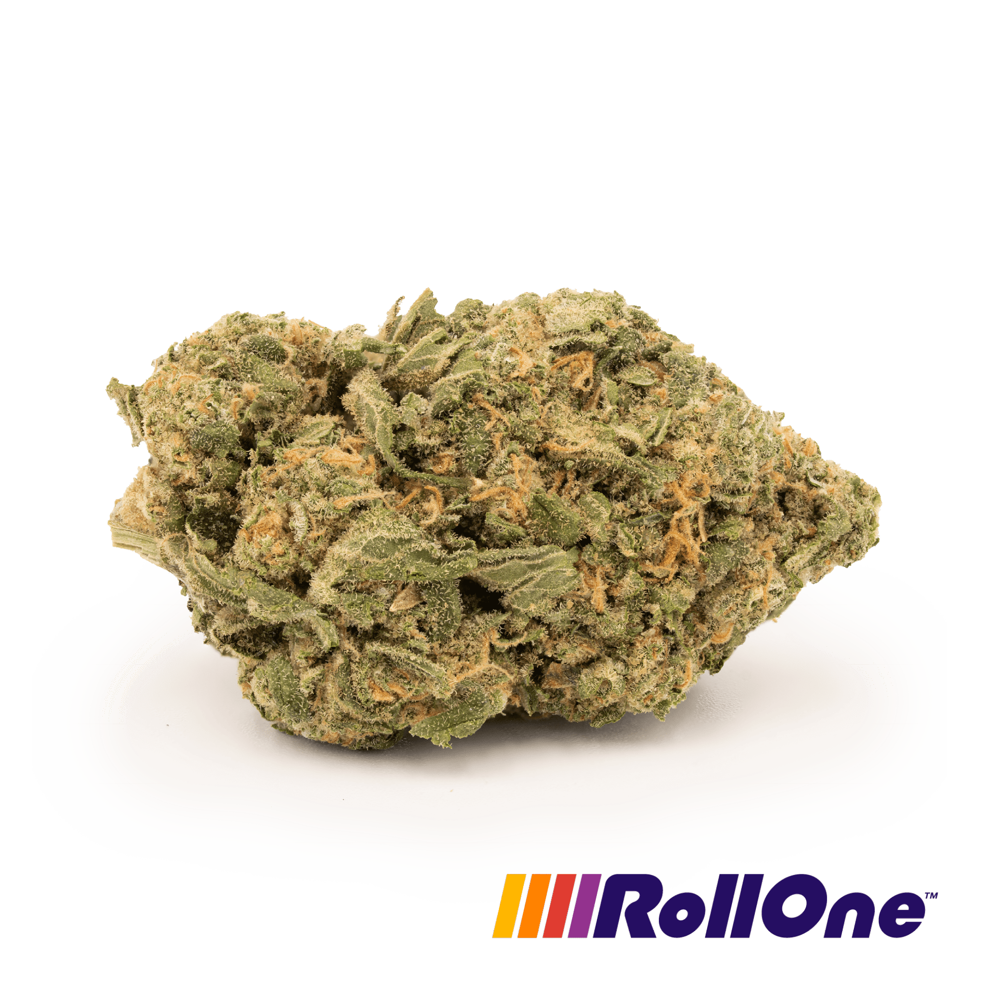Fire Alien Master #44