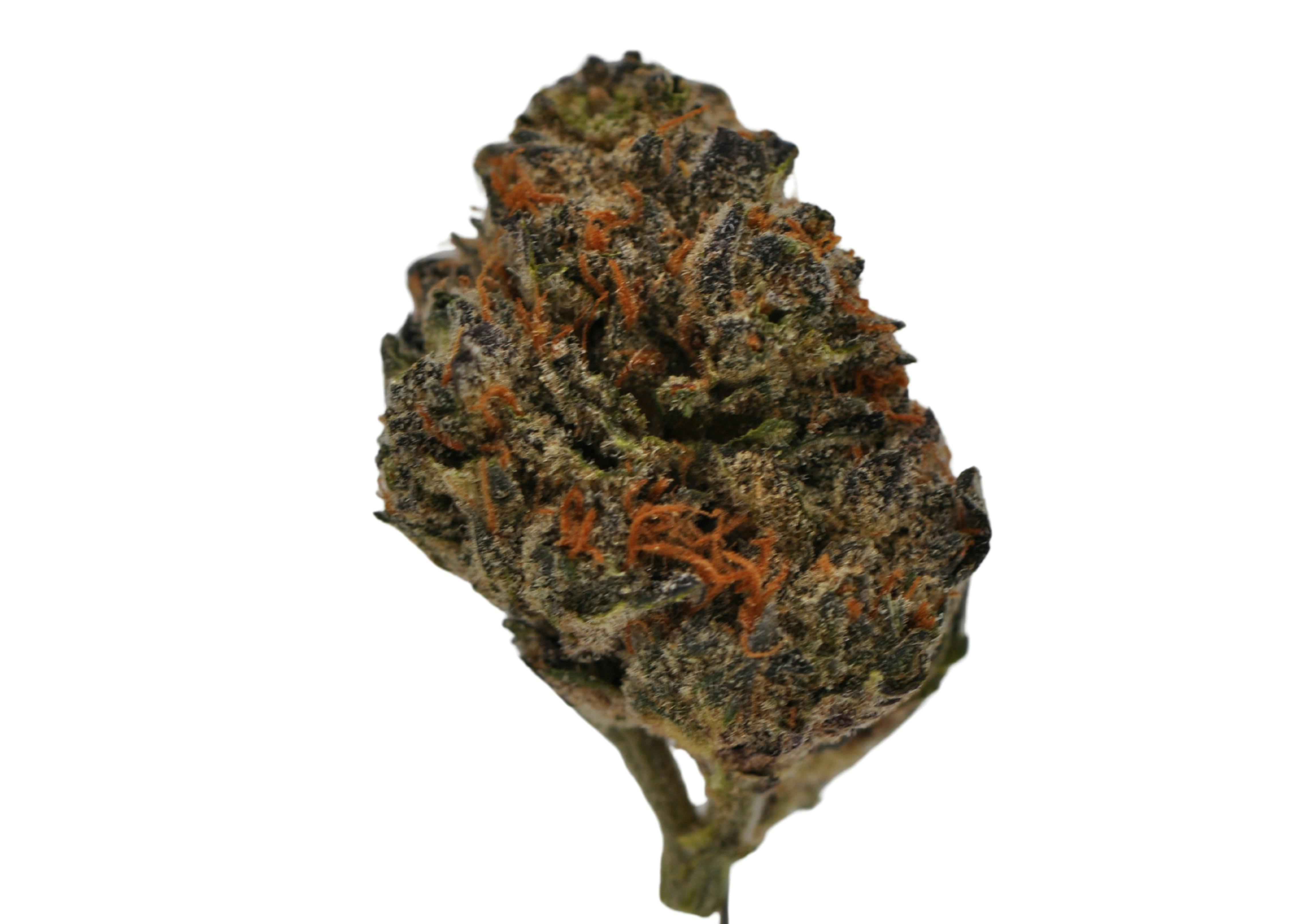 image of Peach Sherbert OG | 7g Prepackaged Flower