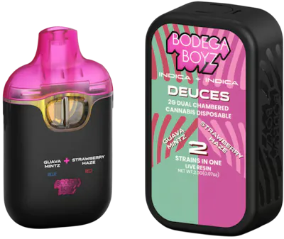 BODEGA BOYZ - Planet Nugg