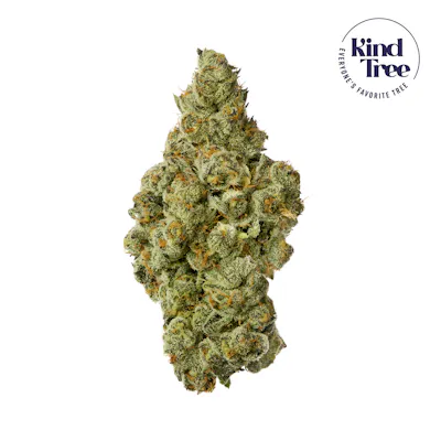 Kind Tree - Remedy Maryland