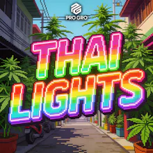 DELI - Pro Gro - Thai Lights