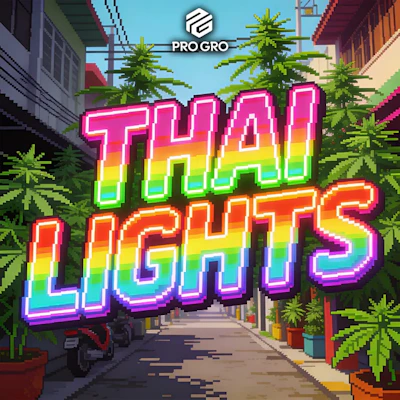 DELI - Pro Gro - Thai Lights