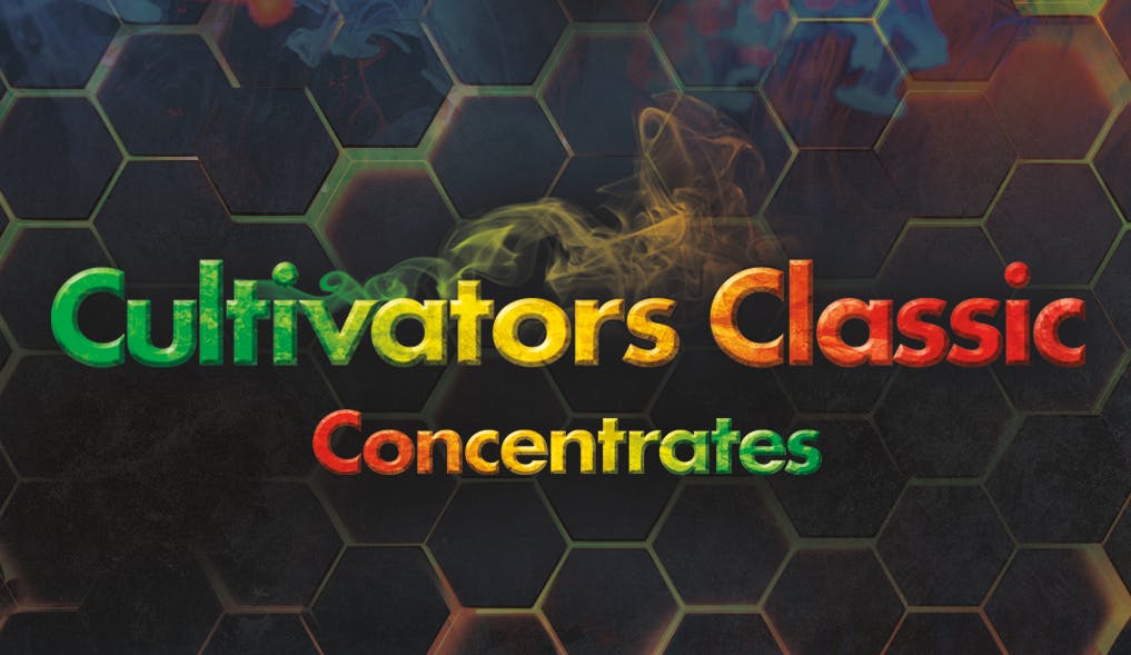 Tropical Punch (H) Disposable Vape | Cultivators Classic | B'Leaf Wellness  Centre