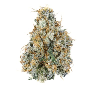GNG | Gary Payton | Flower