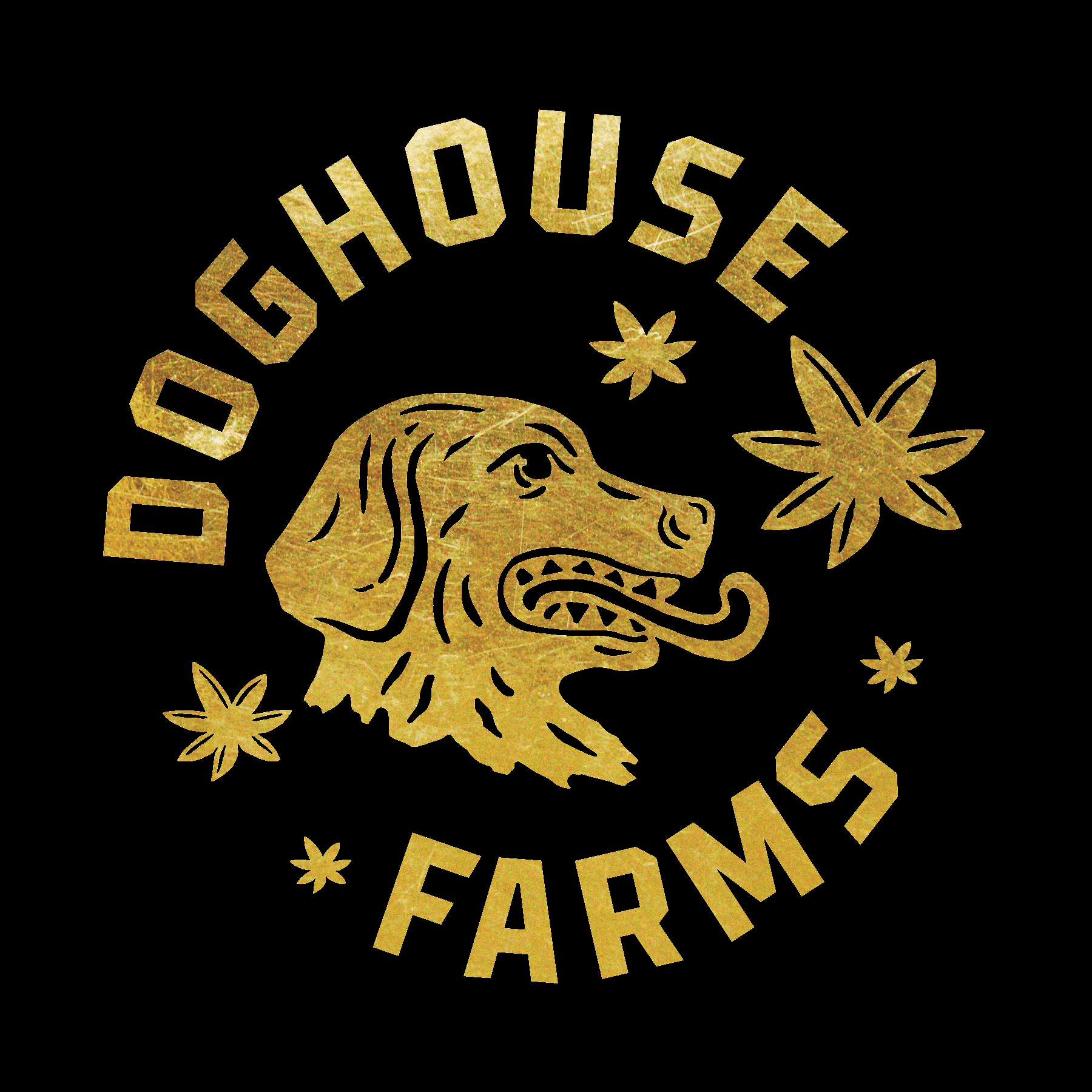 DogHouse - Donnie Burger - Live Resin Vape - 1g - DOH | Cannablyss (WA)