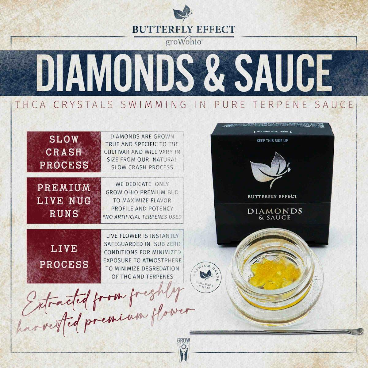 Photo of Triple Chocolate Chip Diamonds & Sauce