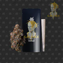 Seed Junky - 1g Preroll - Gas Face