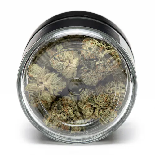 Animal Face | Premium Flower | Indica | 3.5g-3