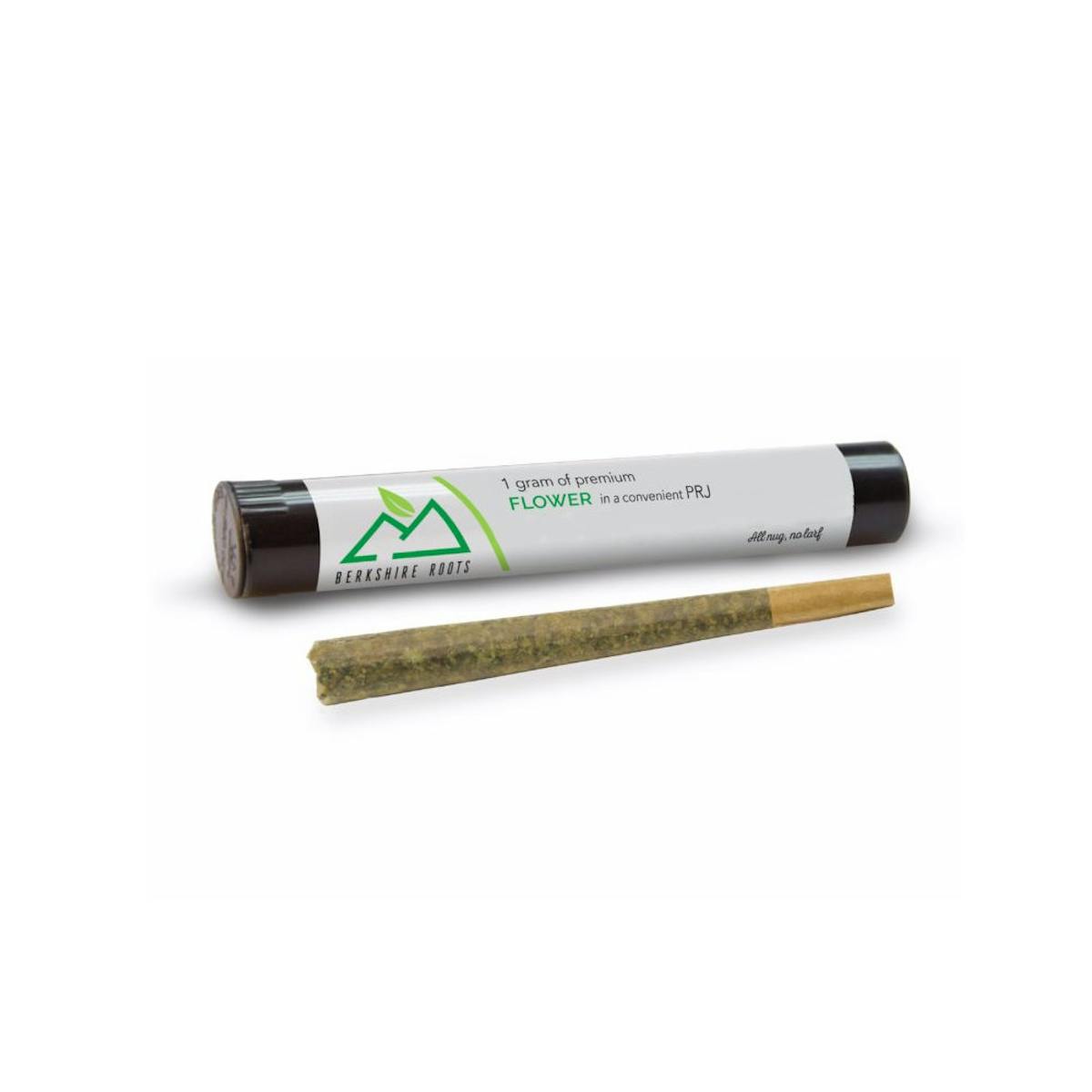 Photo of Berkshire Roots | D Sailor | Preroll (H)