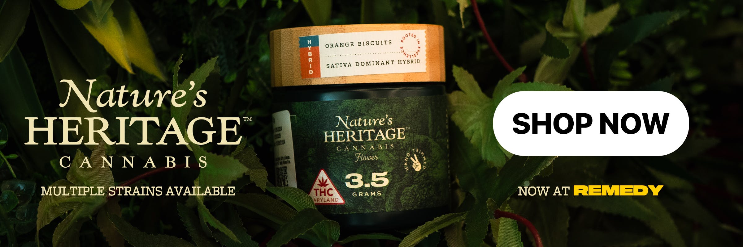 nature's heritage flower at remedy columbia maryland the largest dispensary in maryland with the lowest price