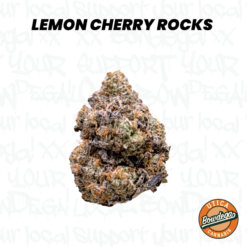Bowdega | Lemon Cherry Rocks
