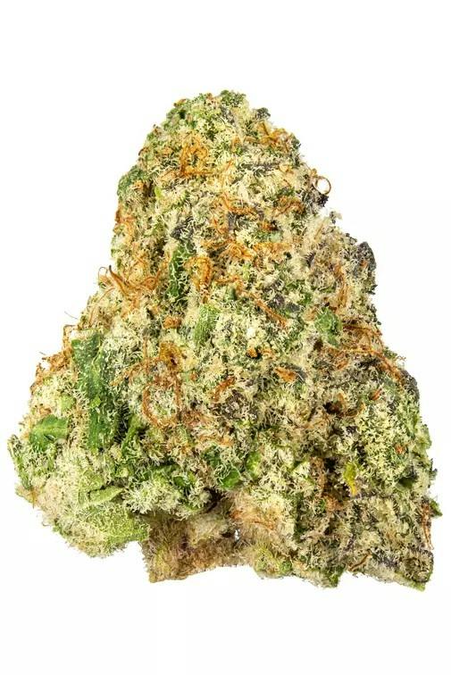 Watermelon Mimosa Bulk Hybrid by Common Citizen – Flower at Gatsby Cannabis