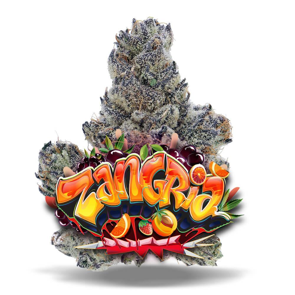 Shop Zangria - Premium Flower in St. Petersburg | Jungle Boys