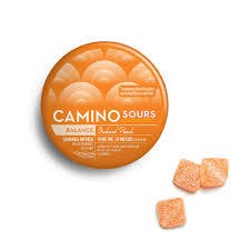 Camino Sour Balance Orchard Peach (10pk) 100MG