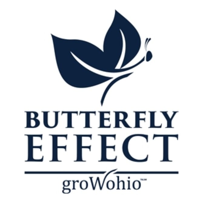 Butterfly Effect 11 Tincture 660mg • Ethos Cannabis