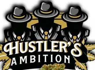 Shop Hustler's Ambition | Planet 13 Las Vegas