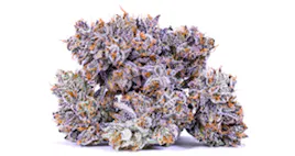 Flower category image