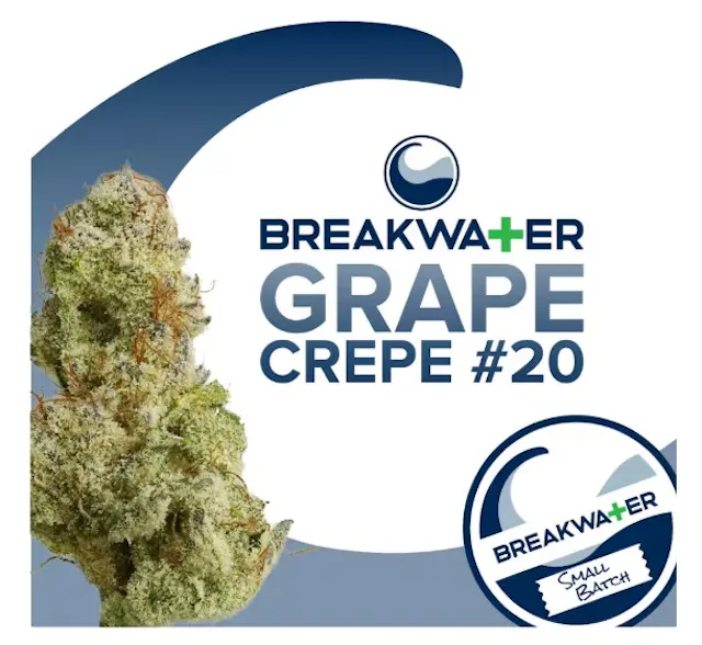 Breakwater Flower Grape Crepe #20 7g (hybrid)