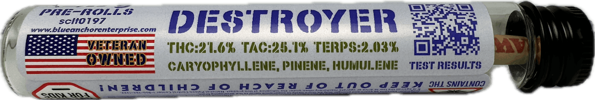 Image of Destroyer | Preroll 2 pk