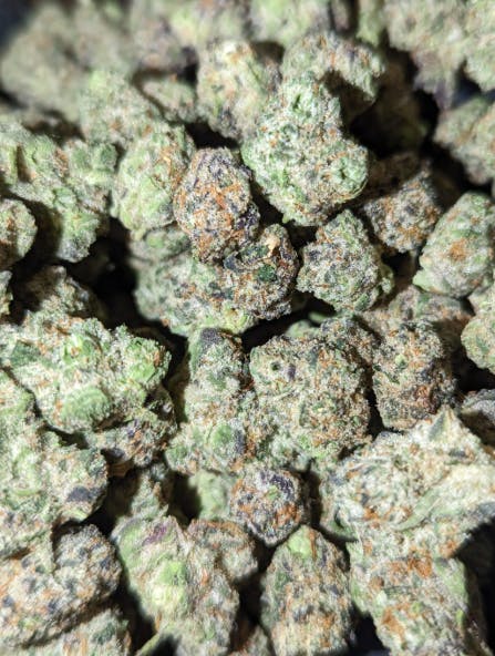 Product: Cookie Fumez | Smalls | Craft Hydroponic