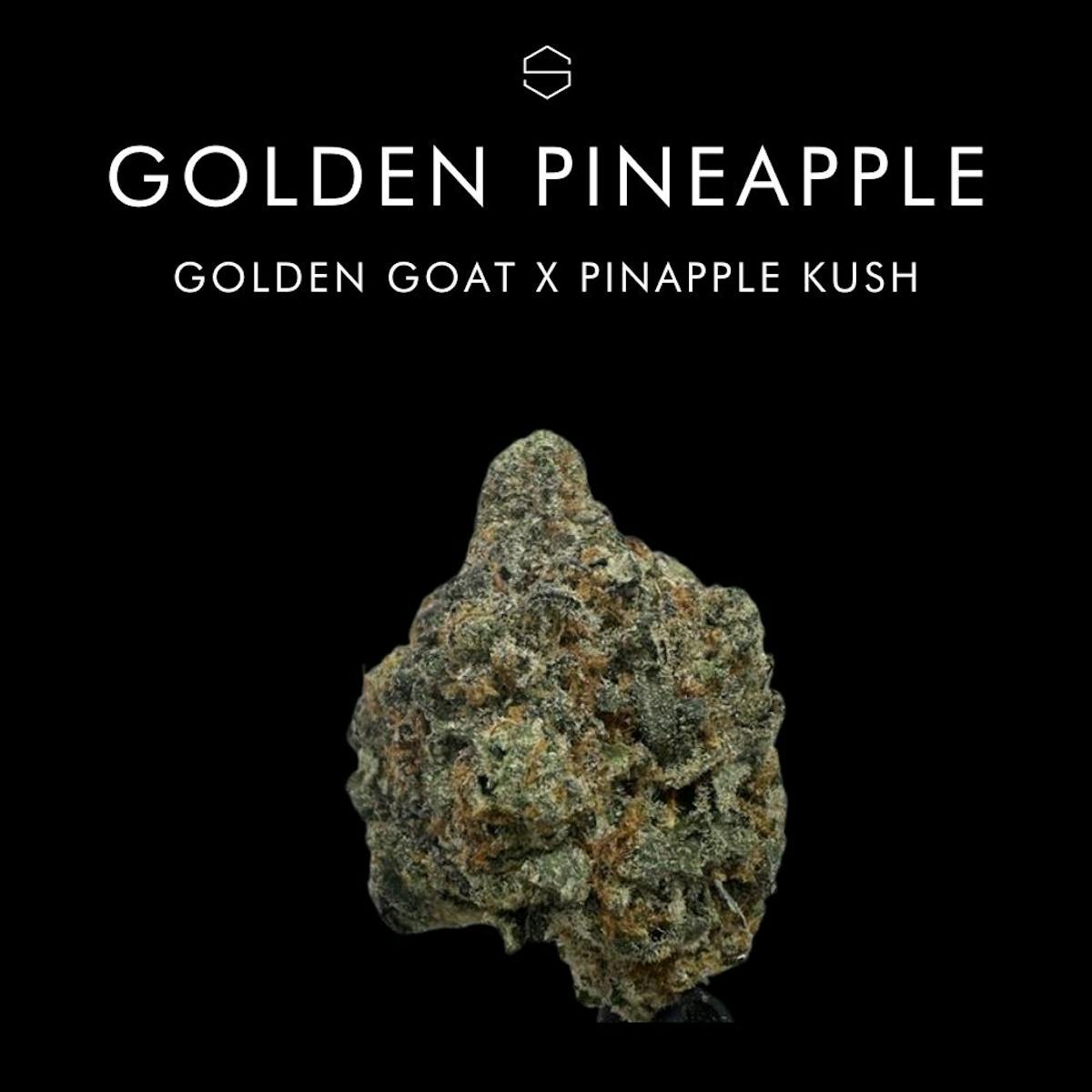 Photo of Golden Pineapple