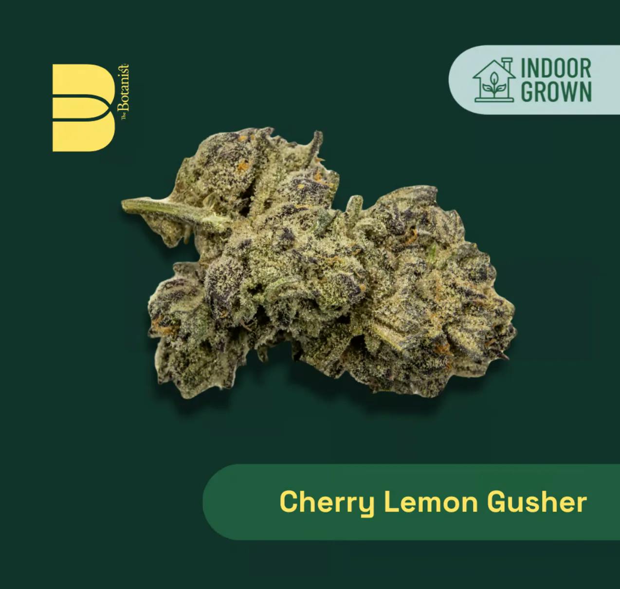 The Botanist | Cherry Lemon Gusher | 3.5g